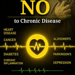 Say No to Chronic Disease - Ebook Edition (PDF)